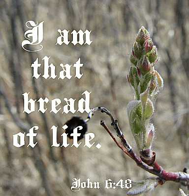 I am that bread of life - John 6:48 - Poster