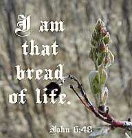 I am that bread of life - John 6:48 - Poster