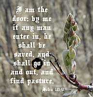 I am the door - John 10:9 - Poster