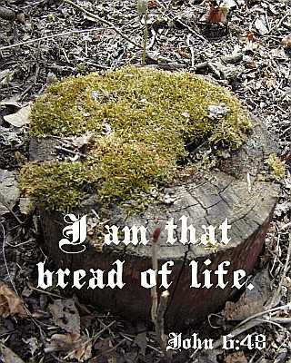 I am that bread of life - John 6:48 - Poster