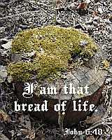 I am that bread of life - John 6:48 - Poster