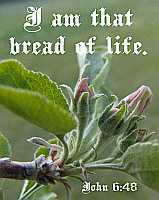 I am that bread of life - John 6:48 - Poster