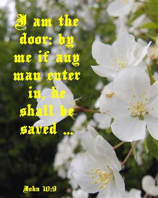 I am the door - John 10:9 - Poster