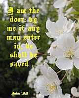 I am the door - John 10:9 - Poster