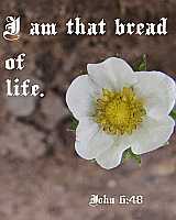 I am that bread of life - John 6:48 - Poster