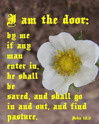 I am the door - John 10:9 - Poster