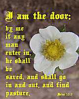 I am the door - John 10:9 - Poster