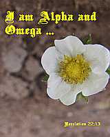 I am Alpha and Omega Rev 22:13 Poster