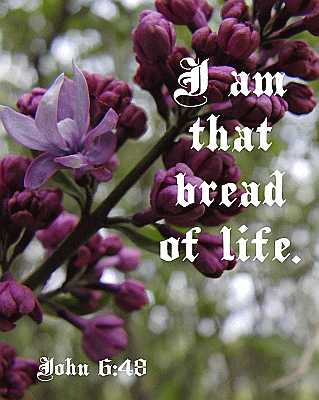 I am that bread of life - John 6:48 - Poster