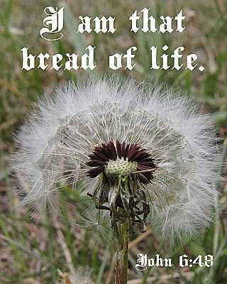 I am that bread of life - John 6:48 - Poster