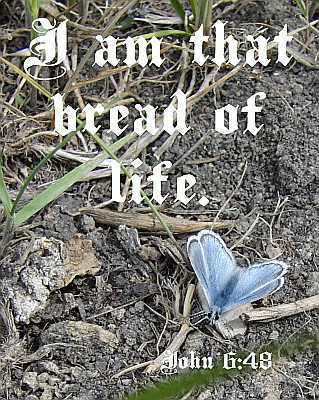 I am that bread of life - John 6:48 - Poster