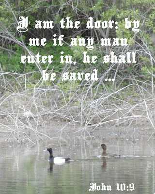 I am the door - John 10:9 - Poster