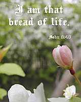 I am that bread of life - John 6:48 - Poster