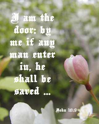 I am the door - John 10:9 - Poster