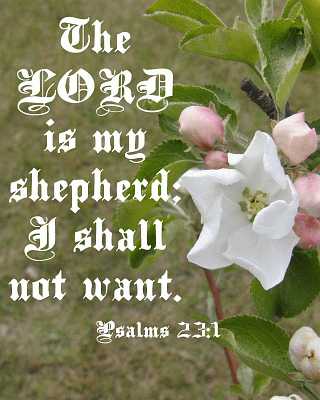 The LORD is my shepherd Poster