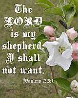 The LORD is my shepherd Poster