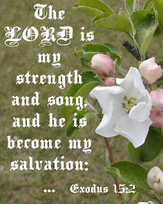 The LORD is my strength and song Poster