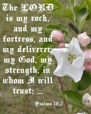 The LORD is my rock Psalms 18:2 Poster