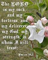 The LORD is my rock Psalms 18:2 Poster