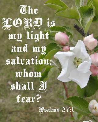 The LORD is my light... Ps 27:1 Poster