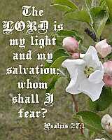 The LORD is my light... Ps 27:1 Poster