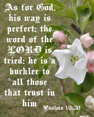 ...his way is perfect...Psalms 18:30 Poster
