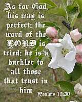 ...his way is perfect...Psalms 18:30 Poster
