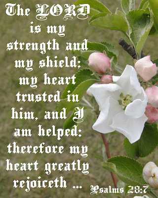 The LORD is my strength... Ps 28:7 Poster
