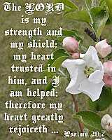 The LORD is my strength... Ps 28:7 Poster