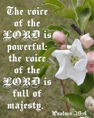 ...the LORD is powerful... Ps 29:4 Poster