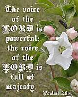 ...the LORD is powerful... Ps 29:4 Poster