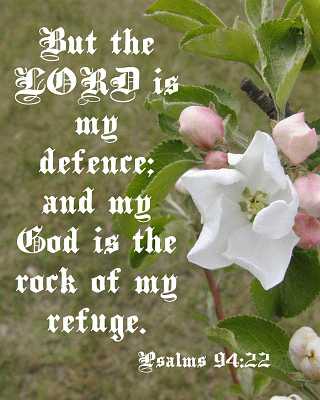 But the LORD is my defence...  Poster