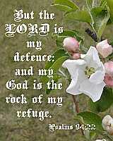 But the LORD is my defence...  Poster