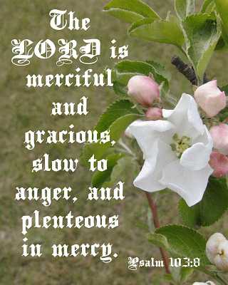 The LORD is merciful... Ps 103:3 Poster