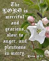 The LORD is merciful... Ps 103:3 Poster