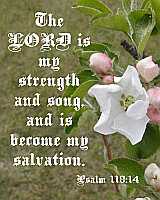 The LORD is my strength and song Poster