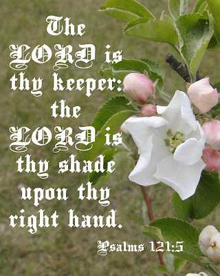 The LORD is thy keeper... Ps 121:5 Poster