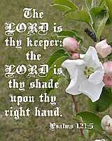 The LORD is thy keeper... Ps 121:5 Poster