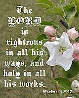The LORD is righteous...Ps 145:17 Poster