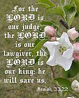 The LORD is our judge... Is 33:22 Poster
