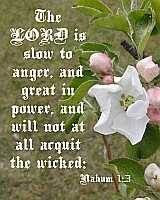 The LORD is slow to anger... Poster