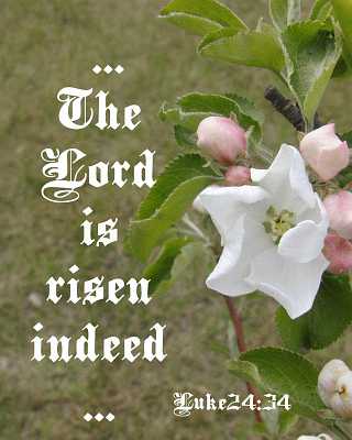 ...The LORD is risen indeed... Poster