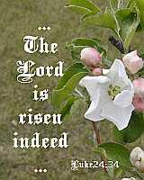 ...The LORD is risen indeed... Poster