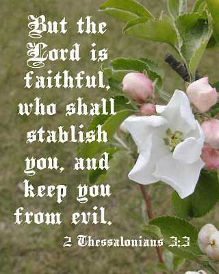 But the LORD is faithful...2Thes 3:3 Poster