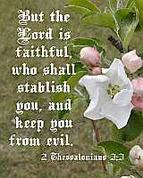 But the LORD is faithful...2Thes 3:3 Poster