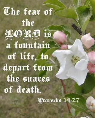 ...the LORD is a fountain of life...  Poster