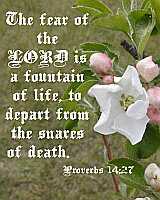 ...the LORD is a fountain of life...  Poster