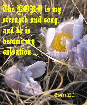 The Lord Is my strength and songPoster