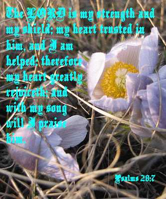 The LORD is my strength... Ps 28:7 Poster
