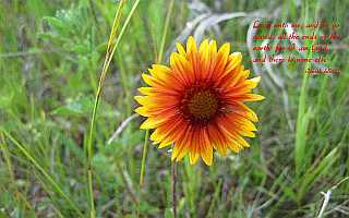 for I am God and there is none else Desktop1680
